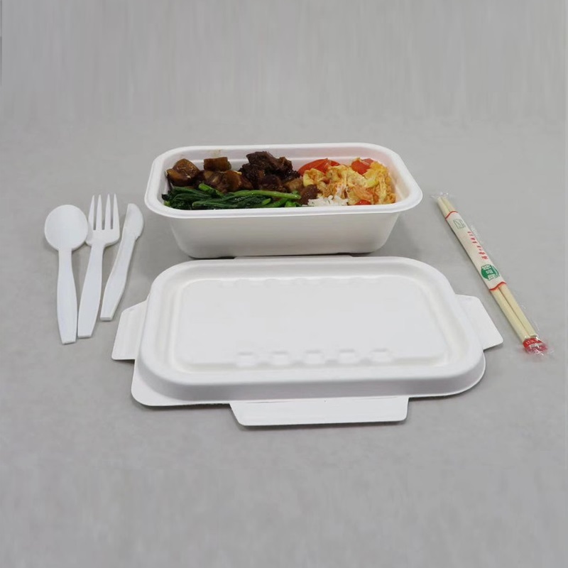 1000 ML バガス食品容器