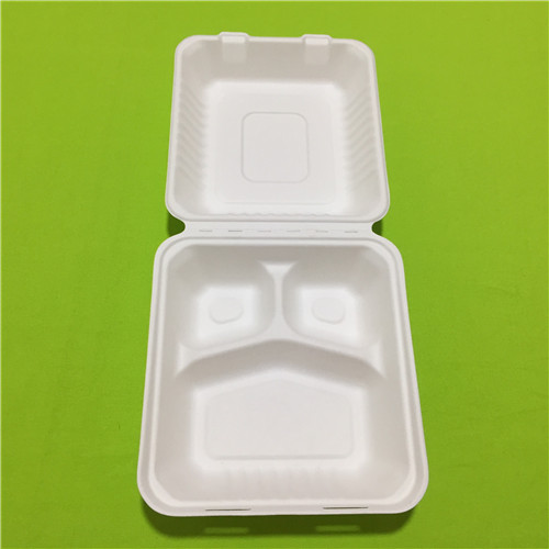 もっと環境に優しいサトウキビ食器を世界中に紹介する必要がある