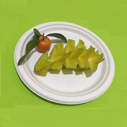 環境に優しい食器