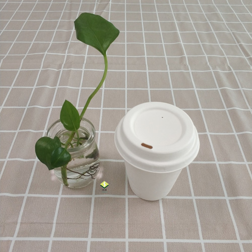生分解性サトウキビパルプカップと蓋