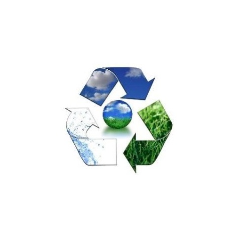 クイーンズランド州、海洋生物を救うため、使い捨てのプラスチック製ストローと皿を禁止する動き