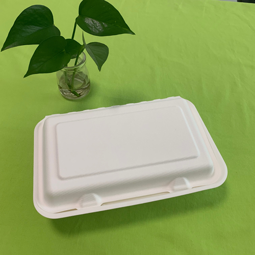 新しいバガス食品容器