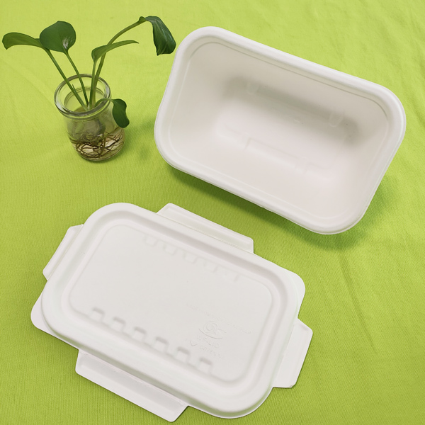 Shenglin Packaging の対外貿易部門は、バガス食器に関する知識交換カンファレンスを開催しました