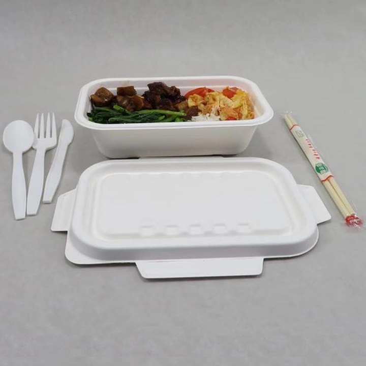 Shenglin Packaging のバガス食器ケース共有カンファレンス