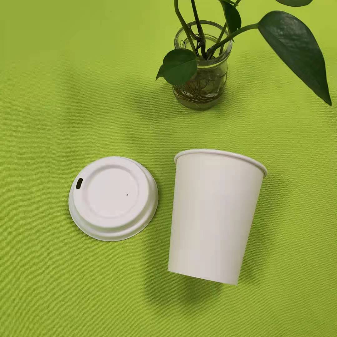 バガスパルプ食器の詳細情報