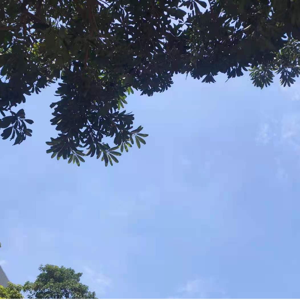 世界アースデー