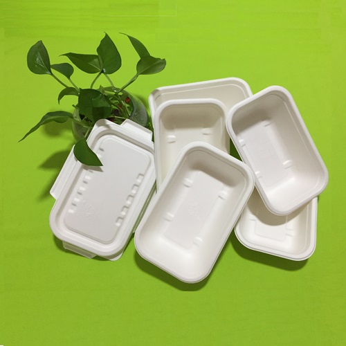 バイオパルプ食品容器の積み込み