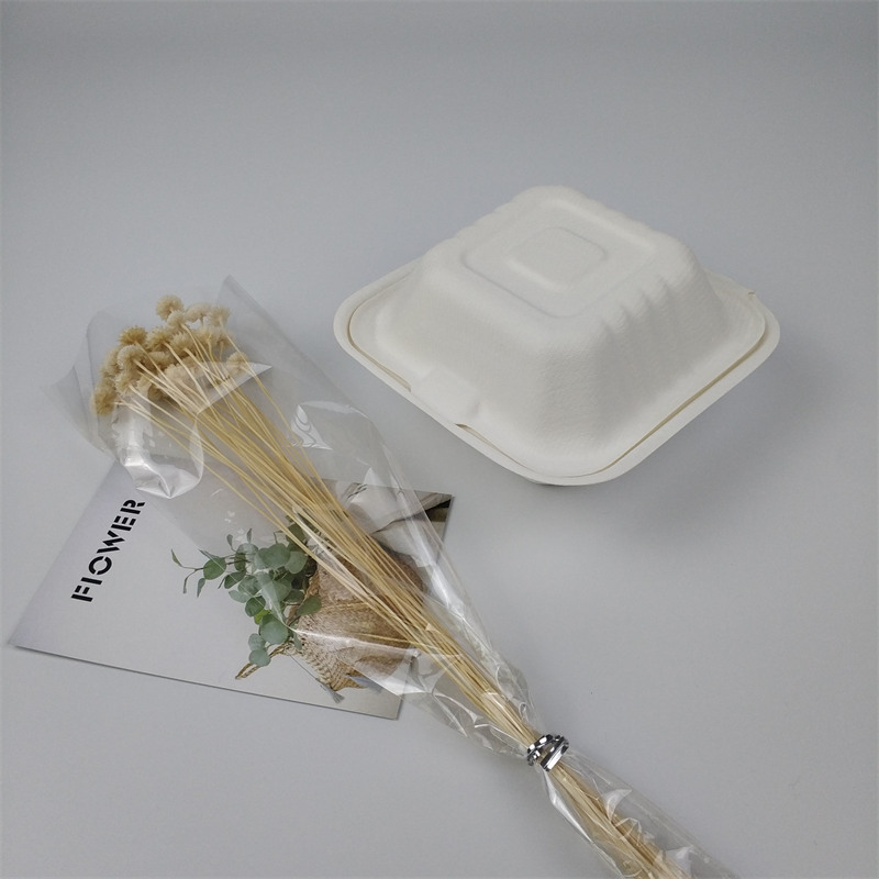 コスタリカで発泡プラスチックの禁止が発効