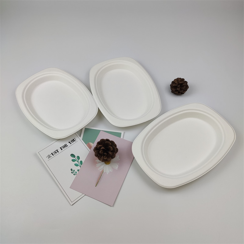 中国河南省、非分解性の使い捨てプラスチック製品の製造と販売を正式に禁止