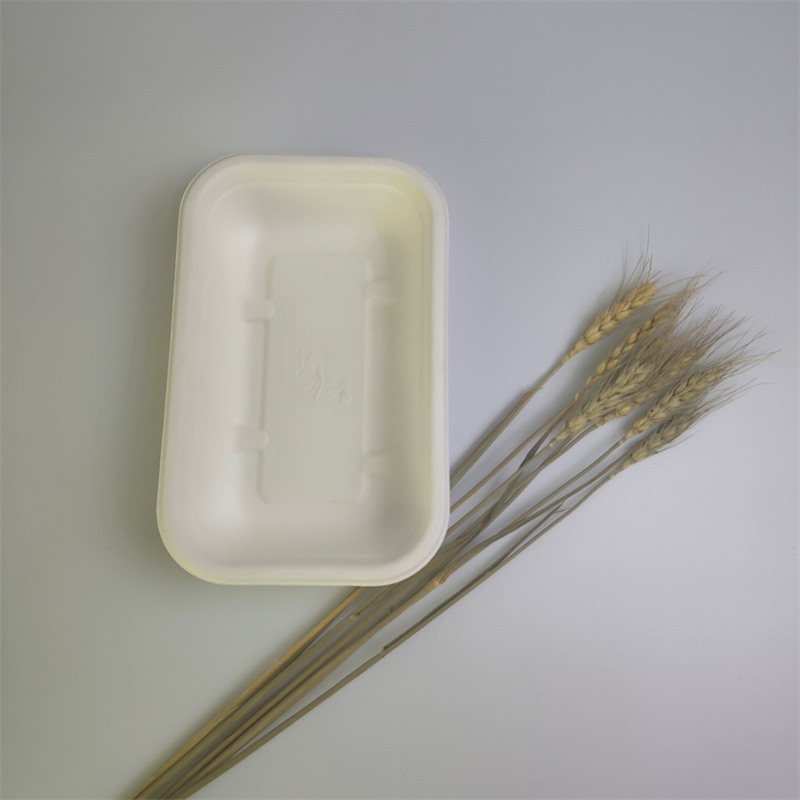 450mlバイオパルプ食品容器