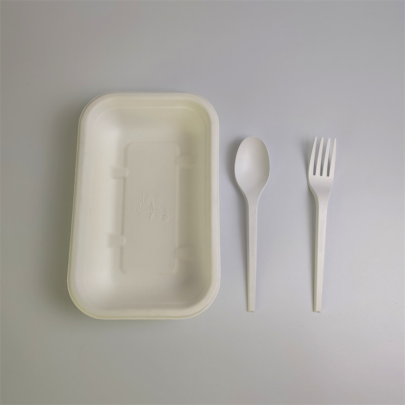 500mlサトウキビパルプ食品容器