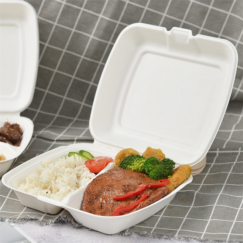Bagasse 9インチ 2コンパートメント テイクアウトボックス