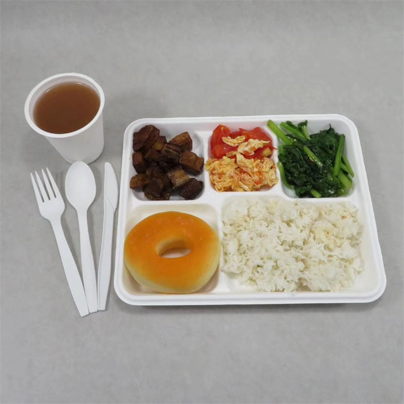 生分解性 5 コンパートメント トレイ