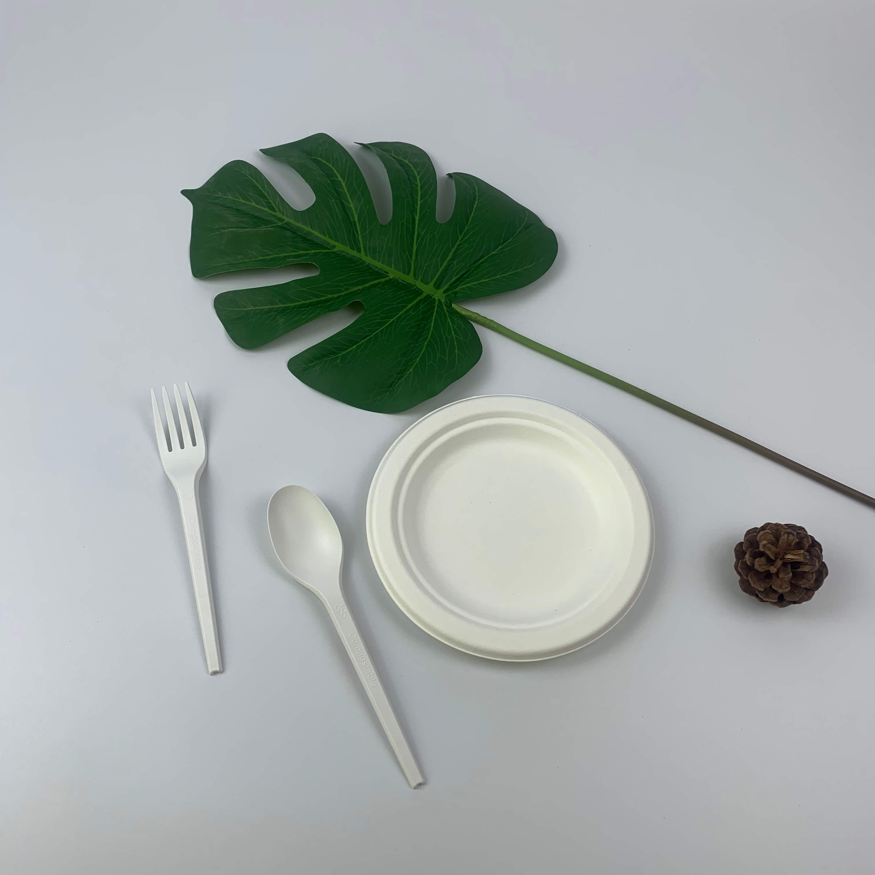 使い捨て6インチバガスパルププレート紙食器ラウンドプレート