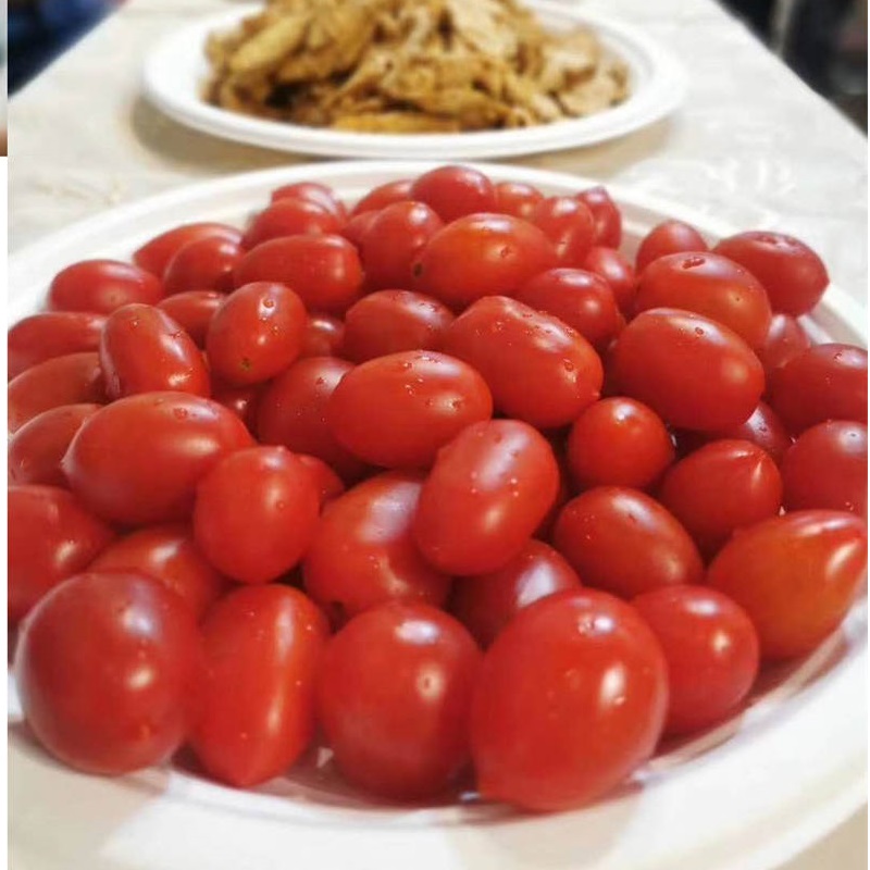 繊維パルプバガス食器プレート