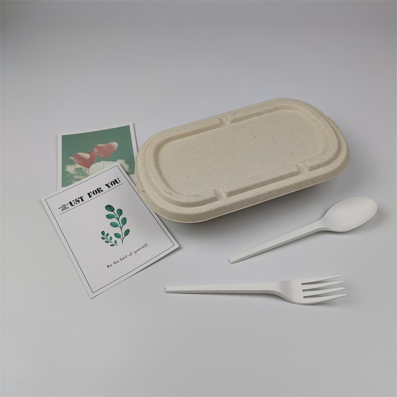 サトウキビ 750ml 蓋付き容器